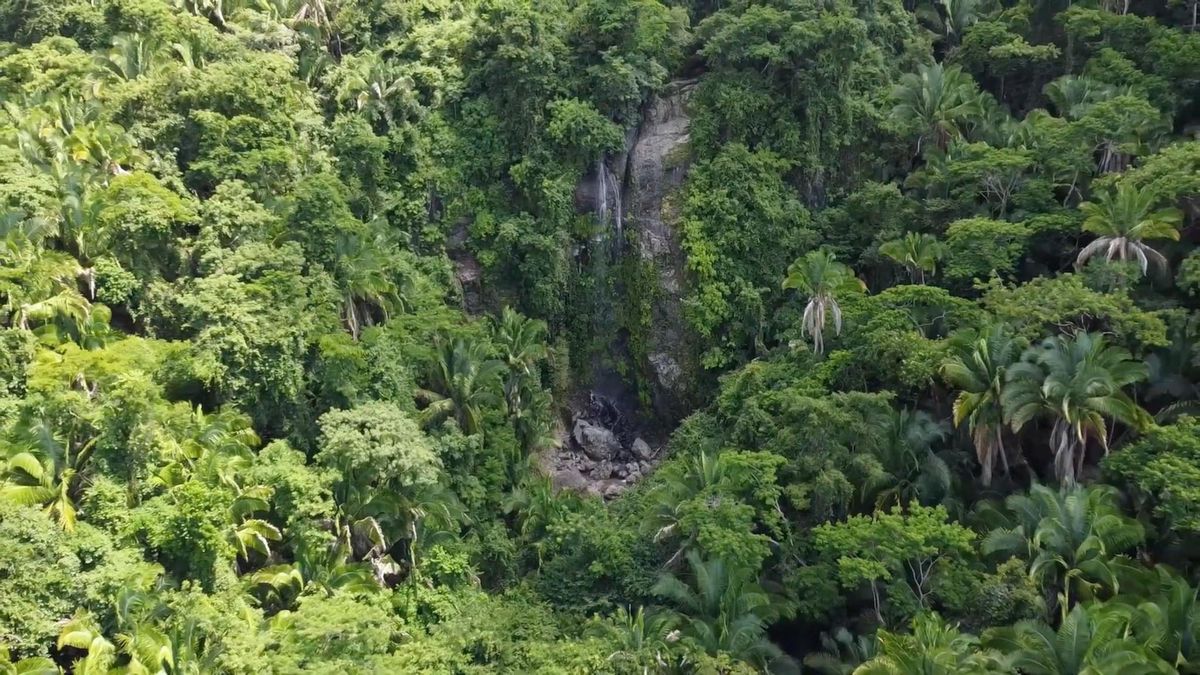 Canyoning and rappelling in El Salto, Puerto Vallarta (photo 2)